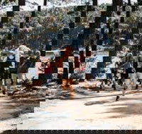 Myponga Reservoir Trail - Accommodation Yamba