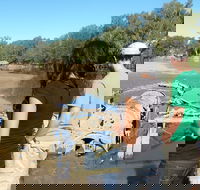 Paddle Steamer Wagga Wagga Wreck - Accommodation Yamba