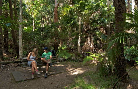 Palms Picnic Area - Accommodation Yamba 0