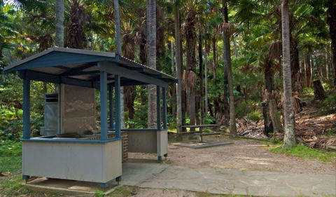 Palms Picnic Area - Accommodation Yamba 1