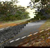 Warrah Trig cycling loop - Accommodation Yamba