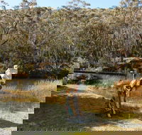 Wild Valley Art Park - Accommodation Yamba