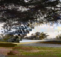 Yea Golf Club - Accommodation Yamba