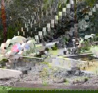 Maroochy Regional Bushland Botanic Garden - Accommodation Yamba