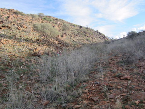 Sundown Nature Trail - Accommodation Yamba 2