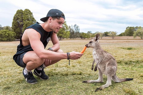 Oz Intro - 9 Day - Accommodation Yamba 6