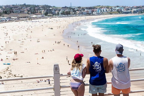 Oz Intro - 9 Day - Accommodation Yamba 1