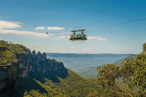 Blue Mountains Highlights, Wildlife Park And Scenic World Full Day Private Tour - Accommodation Yamba 0