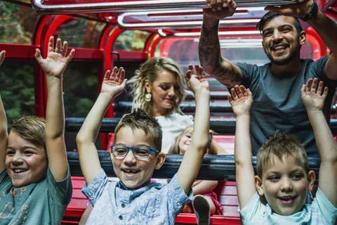 Blue Mountains Highlights, Wildlife Park And Scenic World Full Day Private Tour - Accommodation Yamba 5