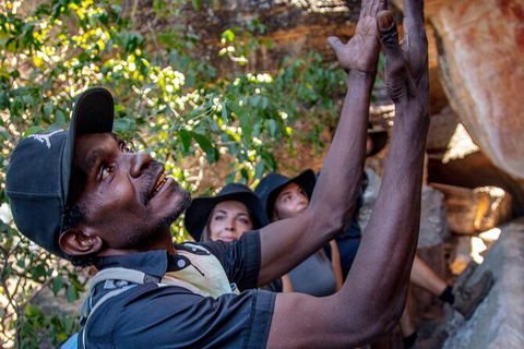 Arnhem Land Injalak Hill Full-Day Tour From Jabiru - Accommodation Yamba 0