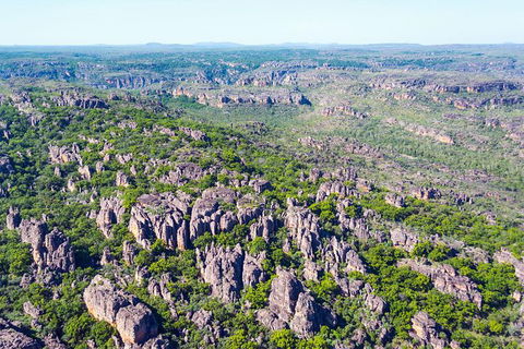 Jabiru 30 Minute Scenic Flight - Accommodation Yamba 1