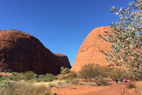 5-Hour Kata Tjuta Sunrise Tour From Ayers Rock With Breakfast - Accommodation Yamba 2