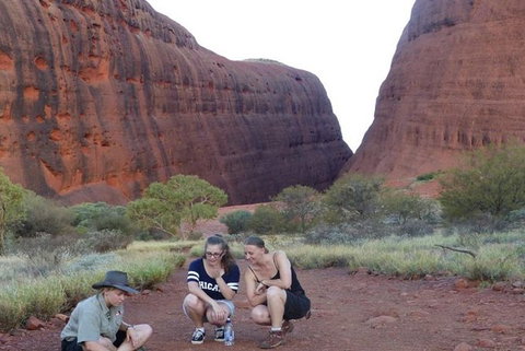 5-Hour Kata Tjuta Sunrise Tour From Ayers Rock With Breakfast - Accommodation Yamba 3