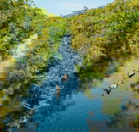 Cruise 'n' Canoe to Australia's Everglades - Accommodation Yamba