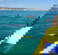 Kayak with Dolphins and 4WD Great Beach Drive Day Trip from Noosa - Accommodation Yamba