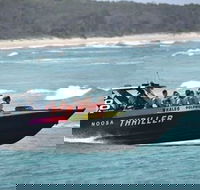 Noosa Thriller - 500hp Ocean Adventure Ride - Accommodation Yamba