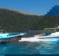Private Standard Charter Experience in Whitsundays - Accommodation Yamba