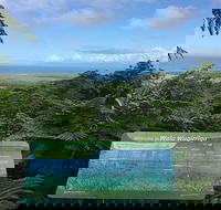 Daintree Luxury Limousine Tour - Full Day - Accommodation Yamba