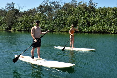 Paddle Board Hire In Surfers Paradise - Accommodation Yamba 2