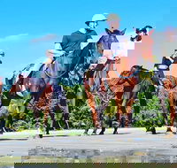 Mid-Morning Beach Horse Ride in Cape Tribulation with Pick Up - Accommodation Yamba