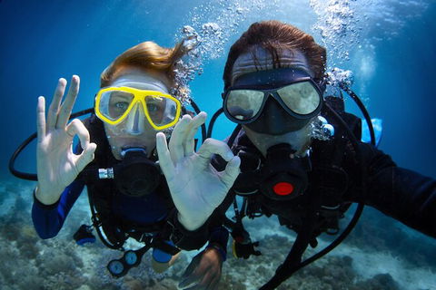 2 Night Whitsunday Islands Cruise On Atlantic Clipper From Airlie Beach - Accommodation Yamba 4