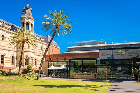 Departure Private Transfers: Adelaide To Adelaide Airport ADL In Business Car - Accommodation Yamba 6