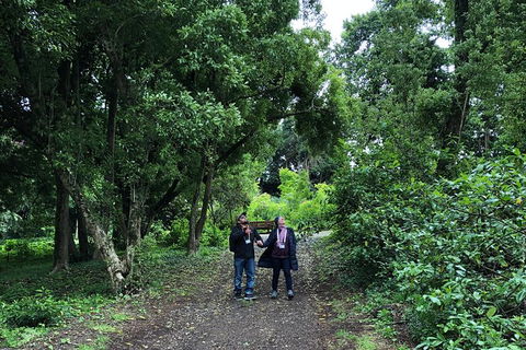 Alices Journeys Guided Walking Tours Of Daylesford - Accommodation Yamba 5