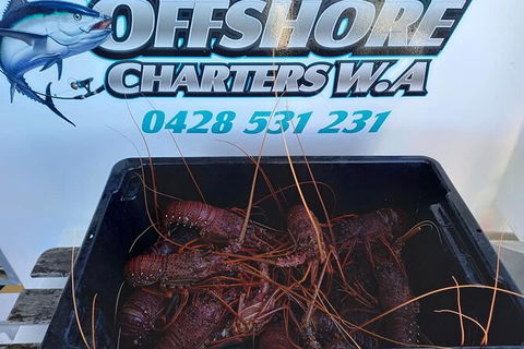 Lobster Fishing Tour At Geraldton - Accommodation Yamba 0