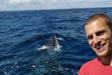 Whale Watching Boat Tour In Geraldton - Accommodation Yamba 2