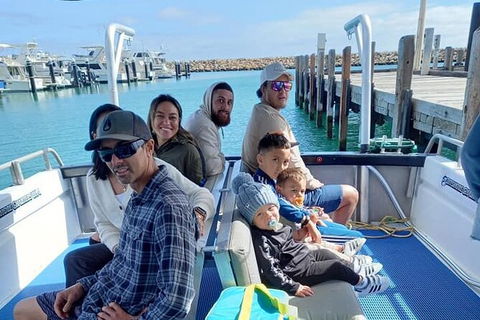 Whale Watching Boat Tour In Geraldton - Accommodation Yamba 1