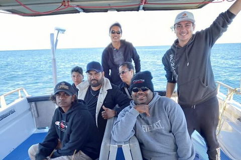 Abrolhos Islands Fishing Charter - Accommodation Yamba 3