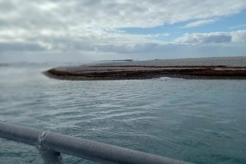 Abrolhos Islands Fishing Charter - Accommodation Yamba 6