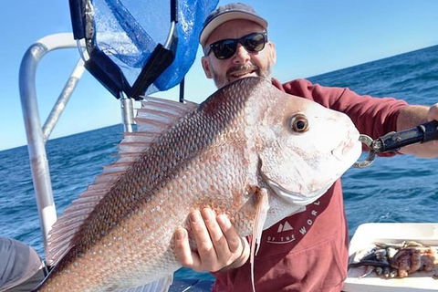 Abrolhos Islands Fishing Charter - Accommodation Yamba 9