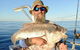 Abrolhos Islands Fishing Charter - thumb 7