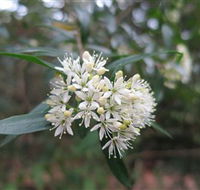 Booderee National Park - Accommodation Yamba