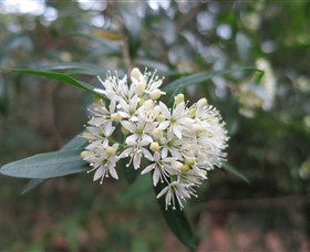 Booderee National Park - Accommodation Yamba 0