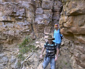 Butterfly Gorge Nature Park - Accommodation Yamba 0