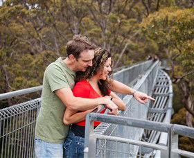 Valley Of The Giants Tree Top Walk - Accommodation Yamba 0