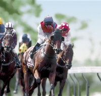 Colac Turf Club - Accommodation Yamba