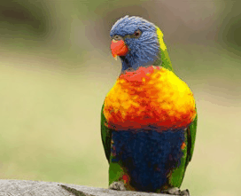 Booderee National Park - Accommodation Yamba 1