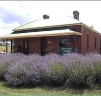 Lavender House in Railway Park - Accommodation Yamba