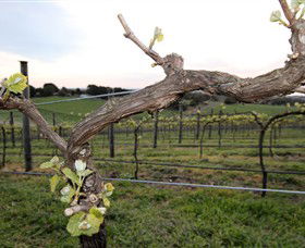 Nalbra Estate Wines - Accommodation Yamba 0