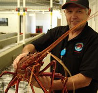 Lobster Shack - Accommodation Yamba