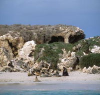 Jurien Bay Marine Park - Accommodation Yamba