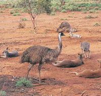 Hammond Park - Accommodation Yamba