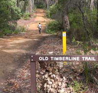 Old Timberline and Sidings Rail Trails - Accommodation Yamba