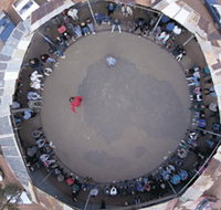 Two-Up School - Accommodation Yamba