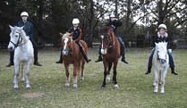 Valhalla Horse Riding - Accommodation Yamba 1