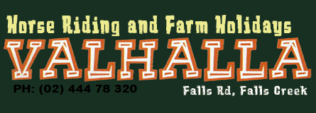 Valhalla Horse Riding - Accommodation Yamba 4