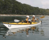 Jervis Bay Kayak & Paddlesports - Accommodation Yamba 2